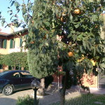 Foto0078