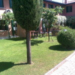 Foto0125